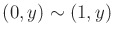 $ (0,y) \sim (1,y)$