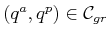 $ (q^a,q^p) \in {{\cal C}_{gr}}$